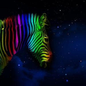 Meet your Posher, Toni